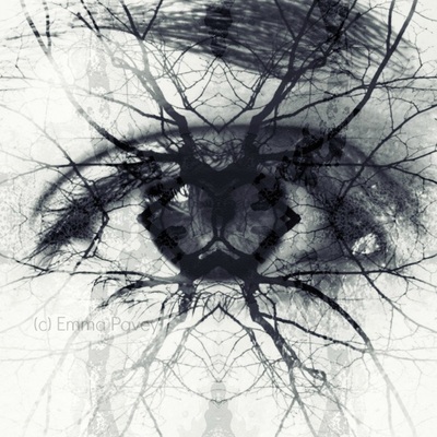 Unusual and dramatic black and white digital art abstract image with eye and tree branch mirrored effect. Bold art for hotels, office or home.