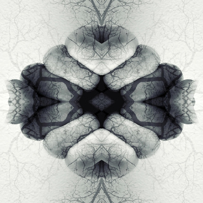 Unusual and dramatic black and white digital art abstract image with fist and tree branch kaleidoscope, mirrored effect. Bold art for hotels, office or home.