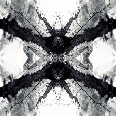 Unusual and dramatic black and white digital art abstract image with  reflection, mirrored effect. Bold art for hotels, office or home.