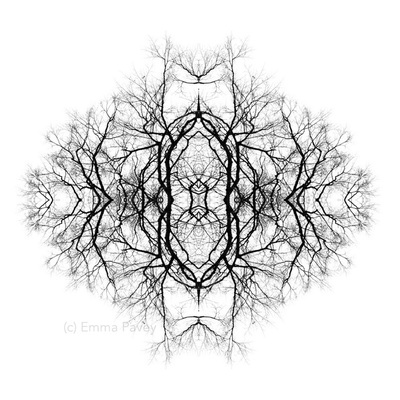 Unusual, minimalist and dramatic black and white digital art abstract image with winter tree branches and reflected, kaleidoscopic, mirrored effect. Bold art for hotels, office or home.